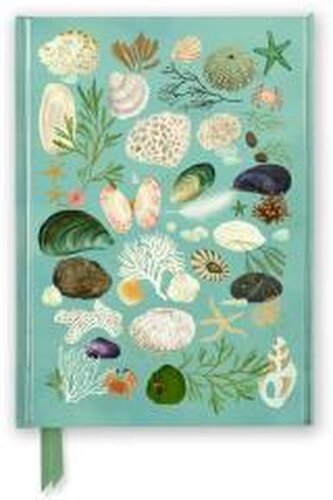 Premium Notizbuch DIN A5: Katherine Quinn, Strandgut sammeln