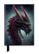 Premium Notizbuch DIN A5: Kerem Beyit, Wilder Drachen