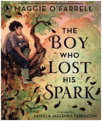 The Boy Who Lost His Spark