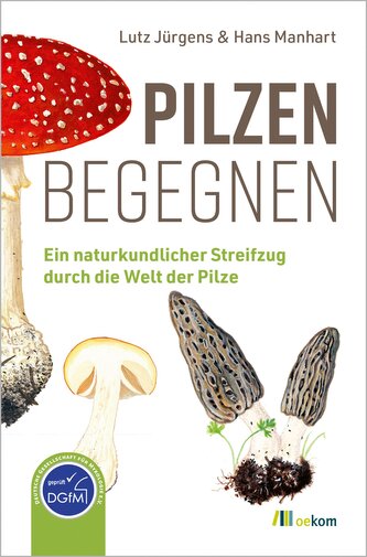 Pilzen begegnen