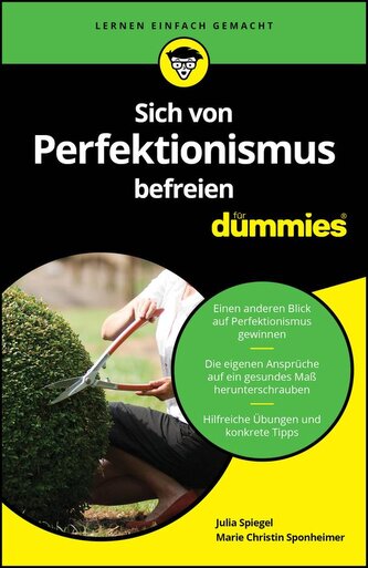 Sich von Perfektionismus befreien für Dummies