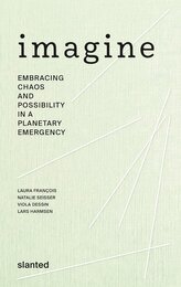 Imagine - Embracing Chaos and Possibility in a Planetary Emergency