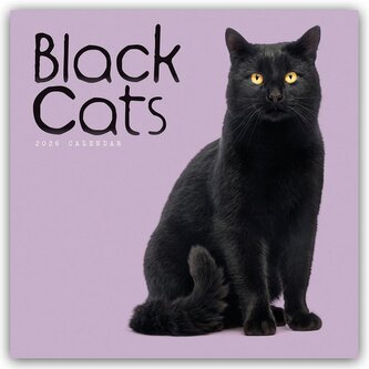 Black Cats - Schwarze Katzen 2026 - Wand-Kalender
