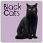 Black Cats - Schwarze Katzen 2026 - Wand-Kalender