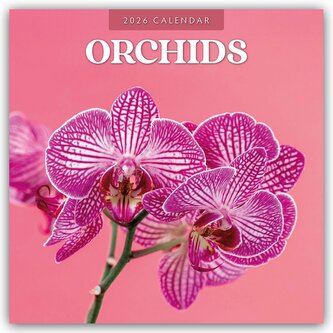 Orchids - Orchideen 2026 - 16-Monatskalender