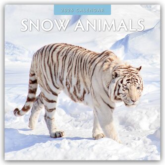 Snow Animals - Arktische Tiere 2026 - 16-Monatskalender