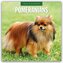 Pomeranians - Zwergspitz - Pomeranian Zwergspitz 2026 - 16-Monatskalender