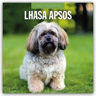 Lhasa Apsos - Lhasa Apso 2026 - 16-Monatskalender