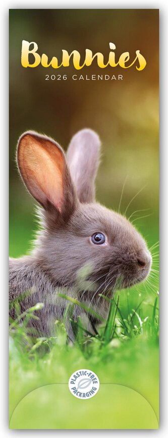 Bunnies - Hasen - Kaninchen 2026 - Slimline-Kalender