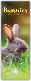 Bunnies - Hasen - Kaninchen 2026 - Slimline-Kalender