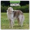 Borzois - Barsoi - Barzaia - Russischer Wolfshund 2026 - 16-Monatskalender