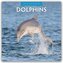 Dolphins - Delfine 2026 - 16-Monatskalender