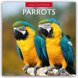 Parrots - Papageien 2026 - 16-Monatskalender