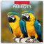 Parrots - Papageien 2026 - 16-Monatskalender