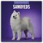 Samoyeds - Samojede - Samojedenspitz 2026 - 16-Monatskalender