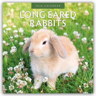Long Eared Rabbits - Langohrhasen 2026 - 16-Monatskalender