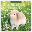 Long Eared Rabbits - Langohrhasen 2026 - 16-Monatskalender