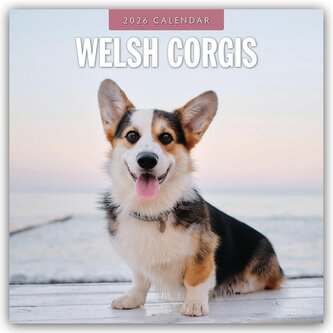 Welsh Corgis - Welsh Corgi 2026 - 16-Monatskalender
