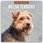 Welsh Terriers - Welsh Terrier 2026 - 16-Monatskalender