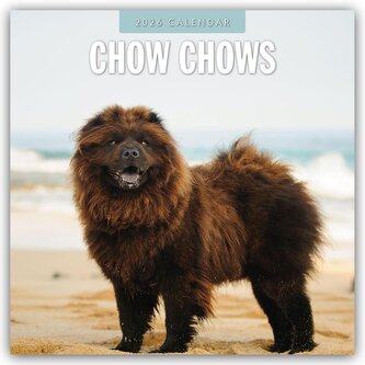 Chow Chows - Chow Chow 2026 - 16-Monatskalender