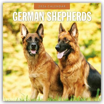 German Shepherds - Deutscher Schäferhund 2026 - 16-Monatskalender