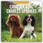 Cavalier King Charles Spaniels - Cavalier King Charles Spaniel 2026 - 16-Monatskalender