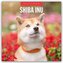 Shiba Inu 2026 - 16-Monatskalender