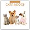 Cats & Dogs - Katzen & Hunde 2026 - 16-Monatskalender
