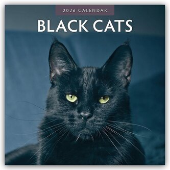 Black Cats - Schwarze Katzen 2026 - 16-Monatskalender