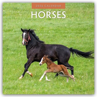 Horses - Pferde 2026 - 16-Monatskalender