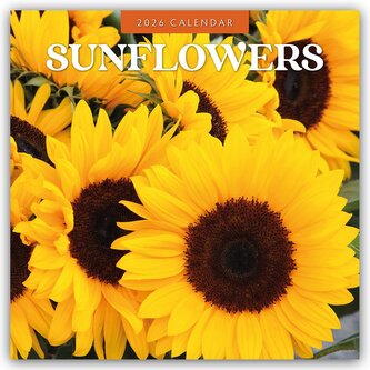 Sunflowers - Sonnenblumen 2026 - 16-Monatskalender