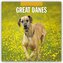 Great Danes - Deutsche Dogge 2026 - 16-Monatskalender