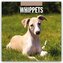 Whippets - Whippet 2026 - 16-Monatskalender