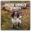 English Springer Spaniels - Englisch Springer Spaniels 2026 - 16-Monatskalender