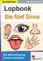 Lapbook Die fünf Sinne