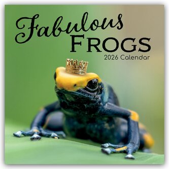 Fabulous Frogs - Fabelhafte Frösche 2026 - 16-Monatskalender
