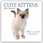 Cute Kittens - Niedliche Kätzchen 2026 - 16-Monatskalender