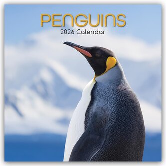 Penguins - Pinguine 2026 - 16-Monatskalender