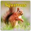 Squirrels - Eichhörnchen 2026 - Wand-Kalender