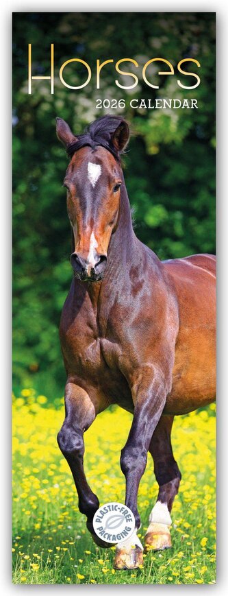 Horses - Pferde 2026 - Slimline-Kalender