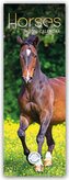 Horses - Pferde 2026 - Slimline-Kalender