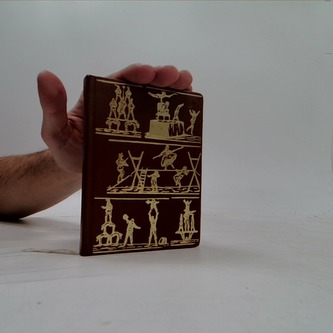 Romance pod křídlovku