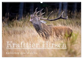 Krafttier Hirsch (Wandkalender 2026 DIN A2 quer), CALVENDO Monatskalender