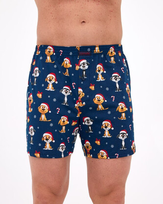 Pánské trenky Cornette Comfort vícebarevné (016/20) M