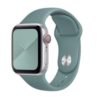 Apple Watch řemínek jednobarevný, 42/44/45/46/49mm, S (Obvod ruky 16,5 až 20,5cm), Cactus