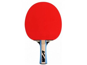 Pálka na stolní tenis V3 Tec Vtec 300 TT Bat 2.0 (Dřevo)