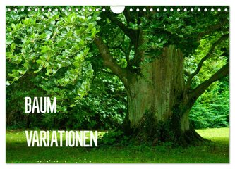 Baum-Variationen (Wandkalender 2026 DIN A4 quer), CALVENDO Monatskalender
