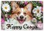 Happy Corgis (Tischkalender 2026 DIN A5 quer), CALVENDO Monatskalender