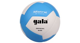 Míč volejbal GALA MISTRAL 5665S (Syntetická kůže/Textil)