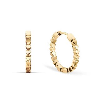 Pozlacené kruhy se srdíčky Arctic Symphony 732-20-05 Bering